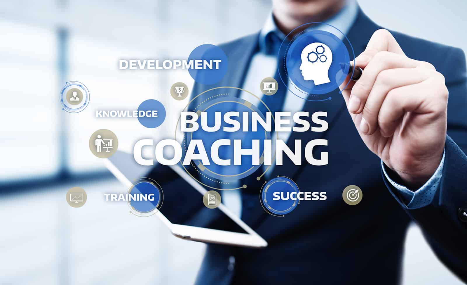 How to Become a Business Coach with Allan Dib - Successwise